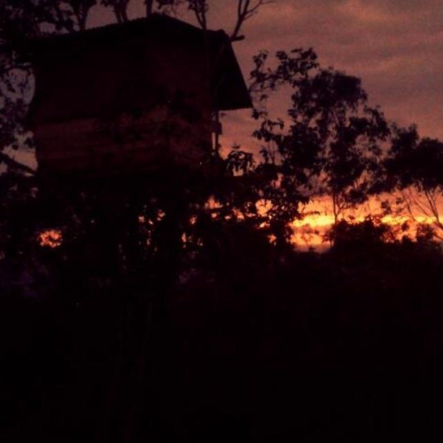 Rumah Pohon Batununggul Exteriör bild
